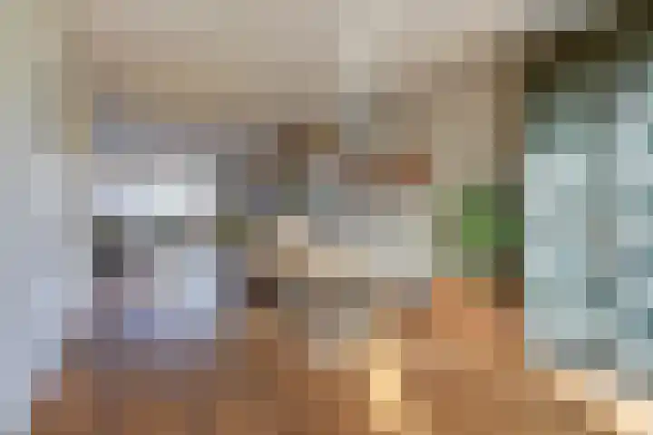 de Aakschipper 5 Raamsdonksveer thumbnail 13