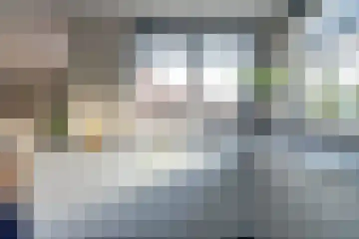 de Aakschipper 5 Raamsdonksveer thumbnail 16