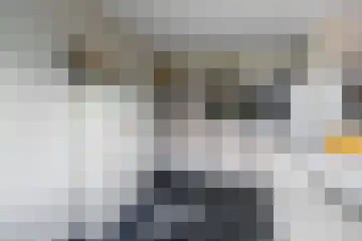 de Aakschipper 5 Raamsdonksveer thumbnail 19