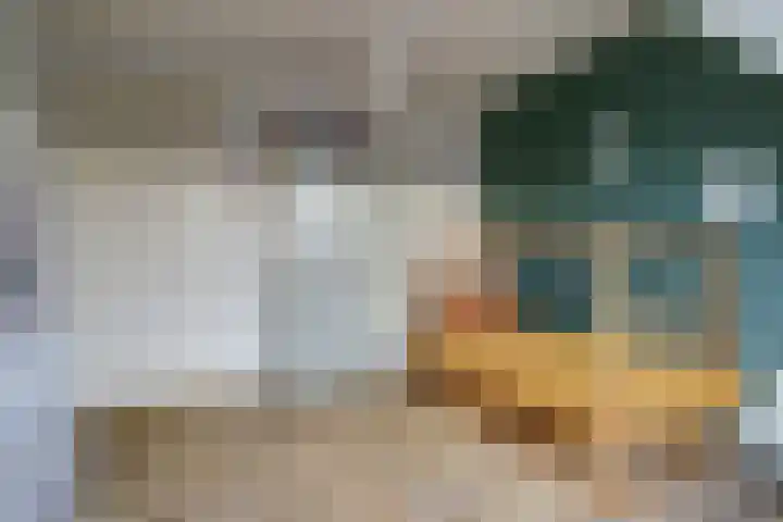 de Aakschipper 5 Raamsdonksveer thumbnail 23