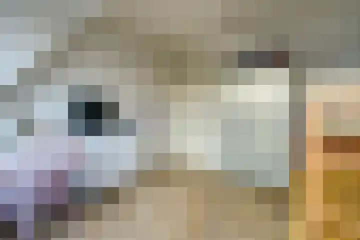 de Aakschipper 5 Raamsdonksveer thumbnail 24