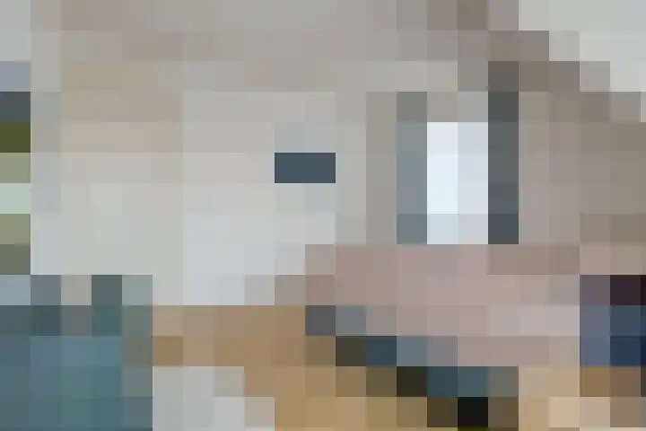 de Aakschipper 5 Raamsdonksveer thumbnail 27