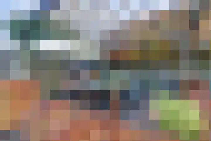 de Aakschipper 5 Raamsdonksveer thumbnail 37