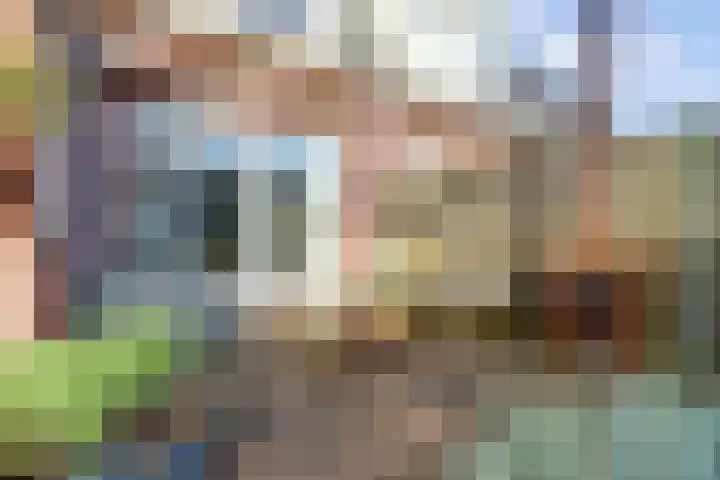 de Aakschipper 5 Raamsdonksveer thumbnail 38