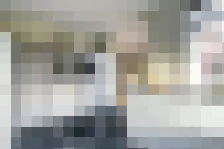 de Aakschipper 5 Raamsdonksveer thumbnail 4