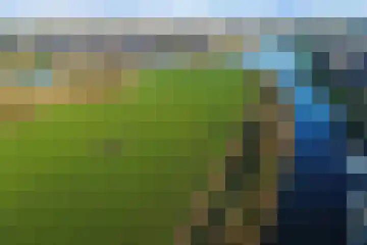 de Aakschipper 5 Raamsdonksveer thumbnail 50