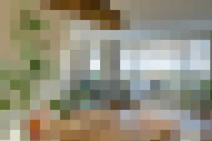 de Aakschipper 5 Raamsdonksveer thumbnail 7
