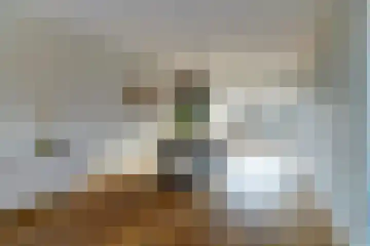 de Aakschipper 5 Raamsdonksveer thumbnail 9