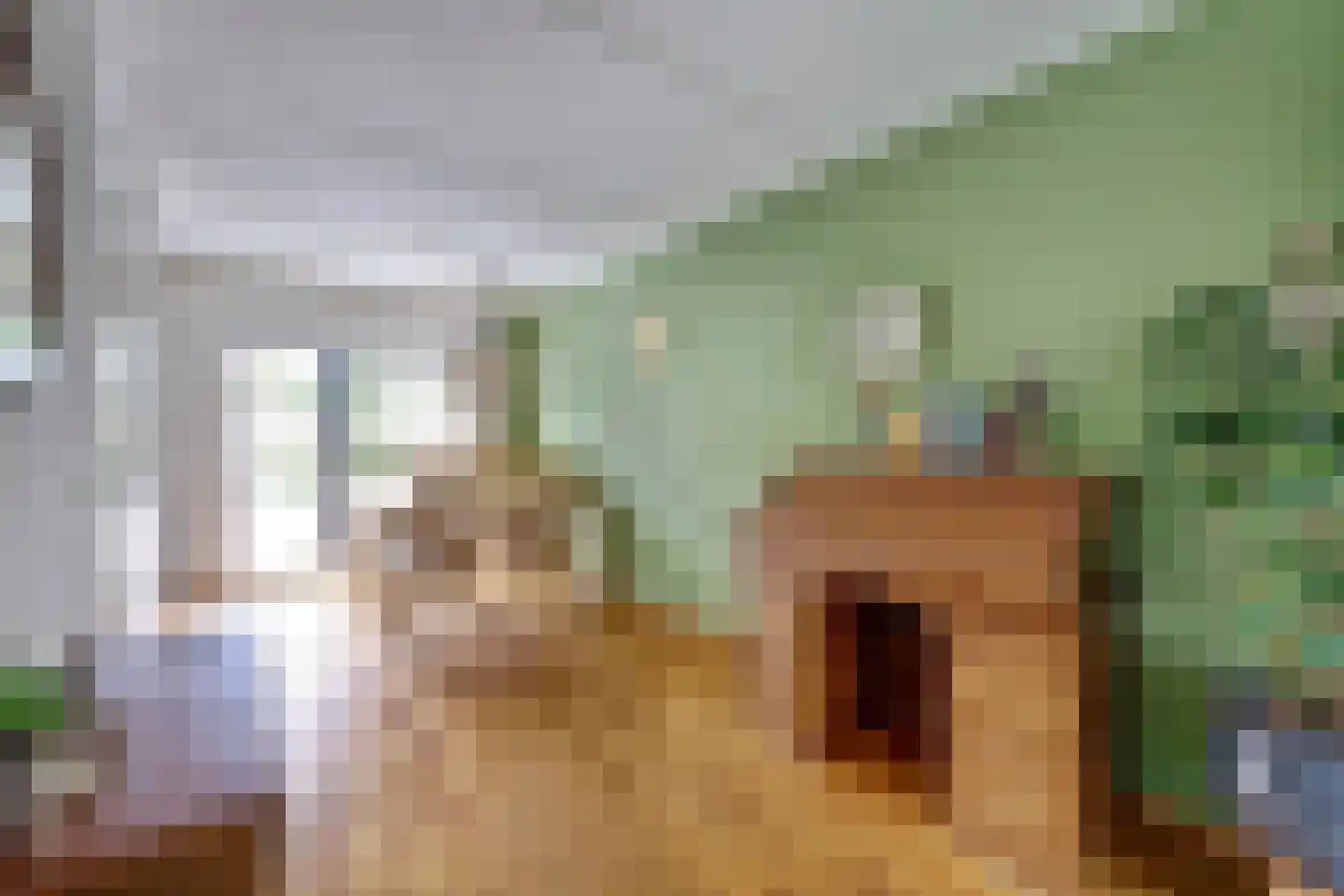 de Aalbes 5 Doetinchem thumbnail 11