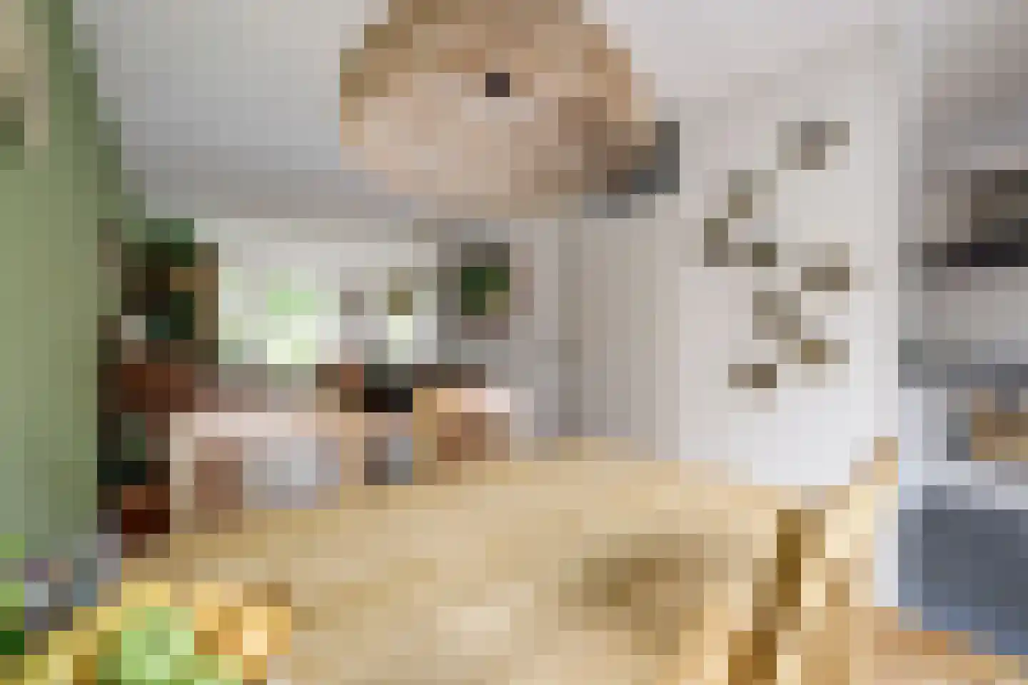 de Aalbes 5 Doetinchem thumbnail 14