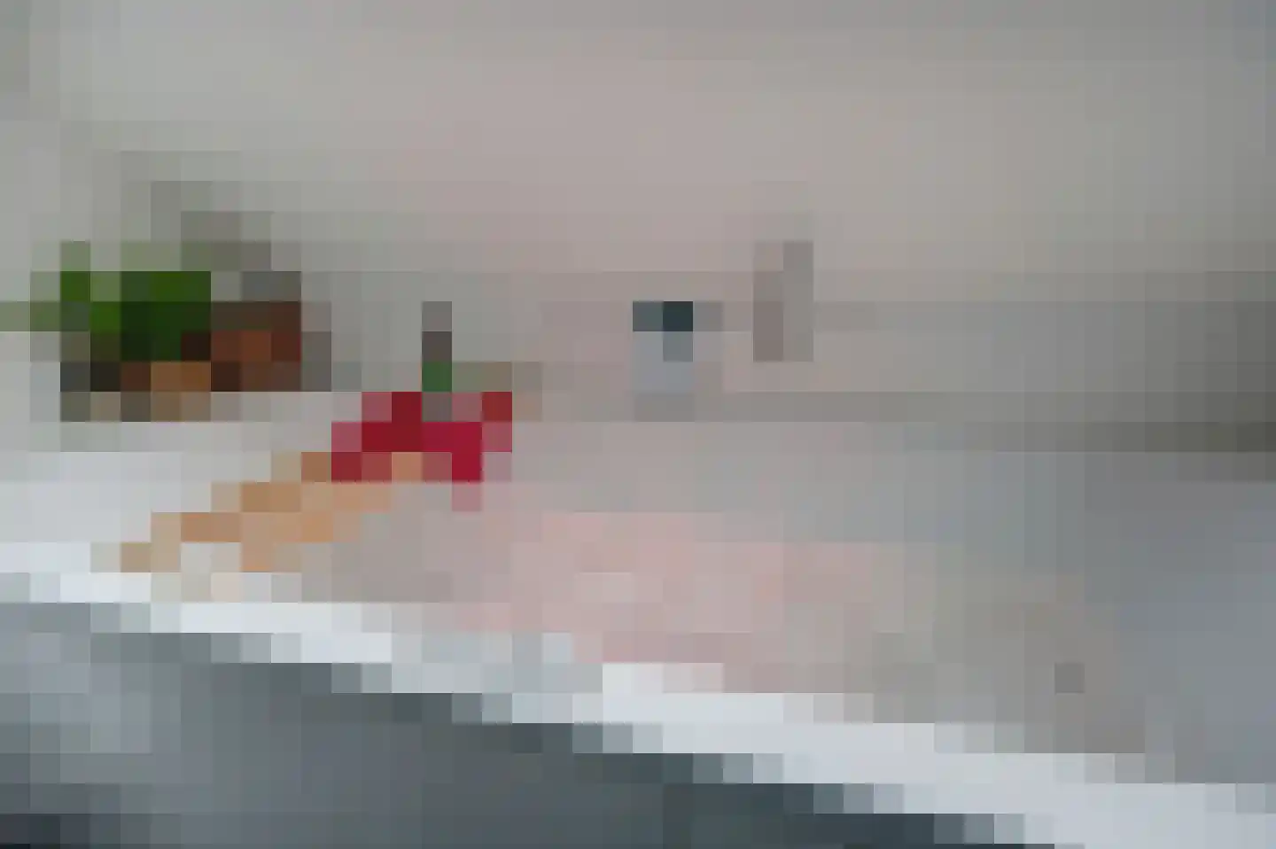de Aalbes 5 Doetinchem thumbnail 33