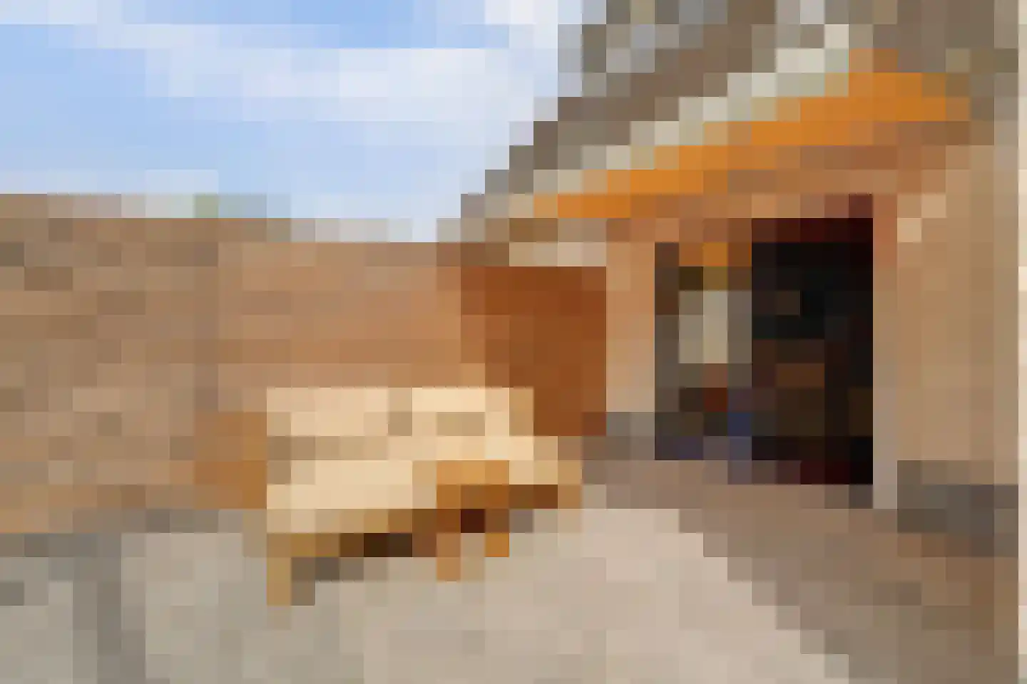 de Aalbes 5 Doetinchem thumbnail 40