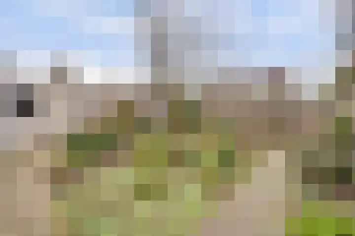 de Aalbes 9 Doetinchem thumbnail 35