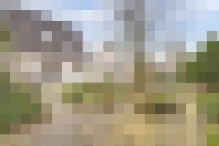 de Aalbes 9 Doetinchem thumbnail 38