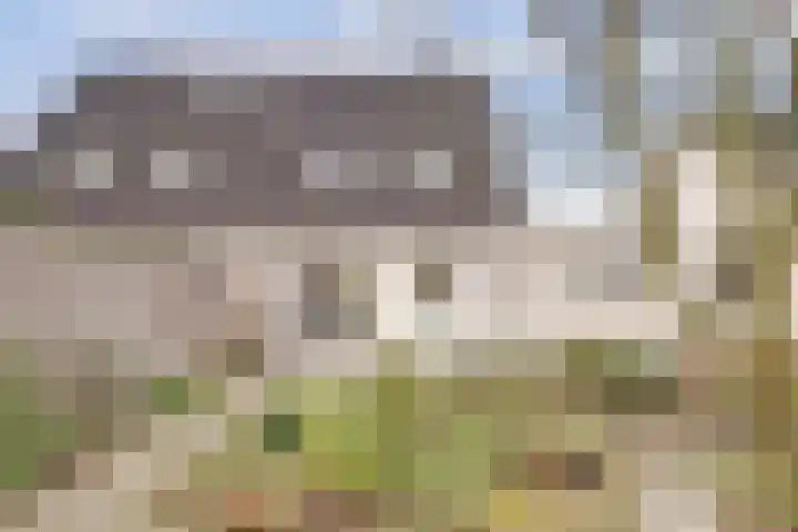de Aalbes 9 Doetinchem thumbnail 39