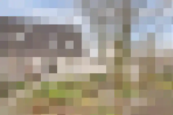 de Aalbes 9 Doetinchem thumbnail 40