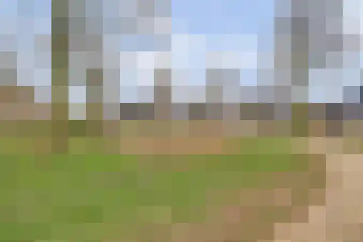 de Aalbes 9 Doetinchem thumbnail 43