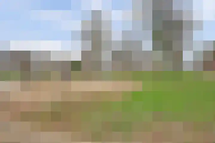 de Aalbes 9 Doetinchem thumbnail 44