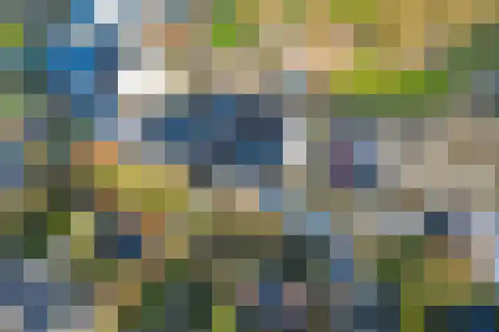 de Aalbes 9 Doetinchem thumbnail 47