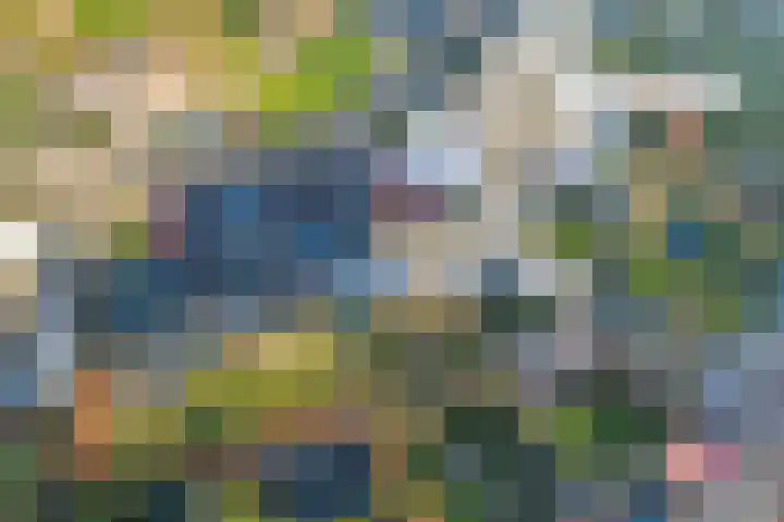 de Aalbes 9 Doetinchem thumbnail 48