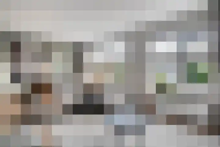 De Aalscholver 10 Dedemsvaart thumbnail 10