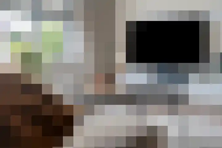 De Aalscholver 10 Dedemsvaart thumbnail 11