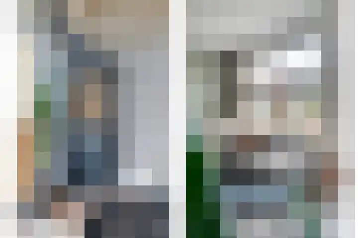 De Aalscholver 10 Dedemsvaart thumbnail 12