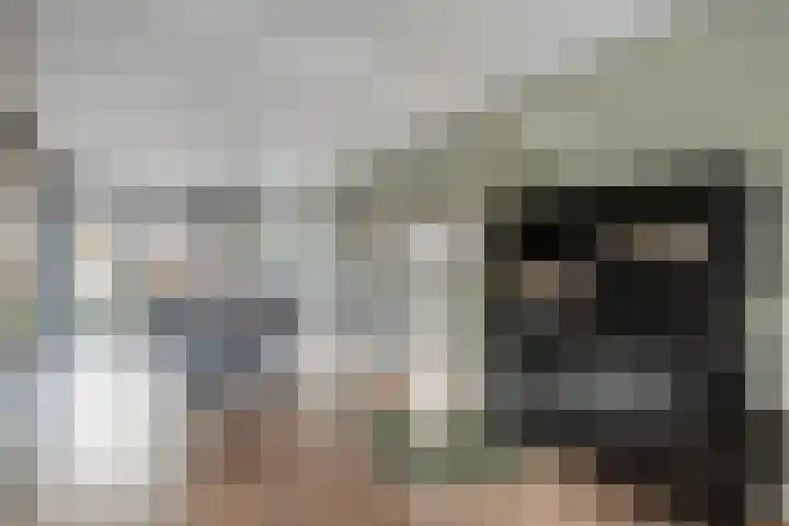 De Aalscholver 10 Dedemsvaart thumbnail 13