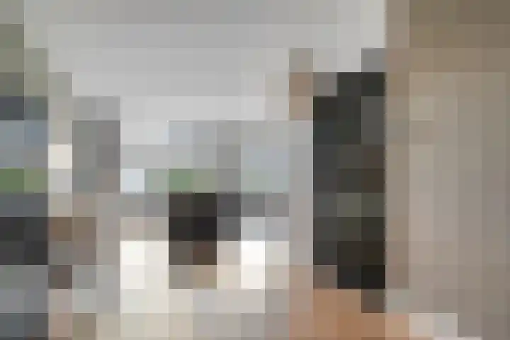 De Aalscholver 10 Dedemsvaart thumbnail 14