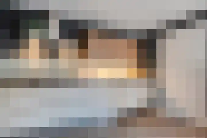 De Aalscholver 10 Dedemsvaart thumbnail 15