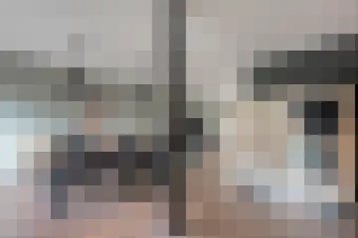 De Aalscholver 10 Dedemsvaart thumbnail 16