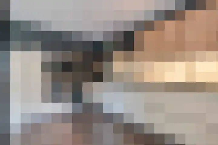 De Aalscholver 10 Dedemsvaart thumbnail 17