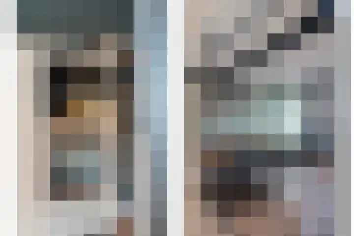 De Aalscholver 10 Dedemsvaart thumbnail 19