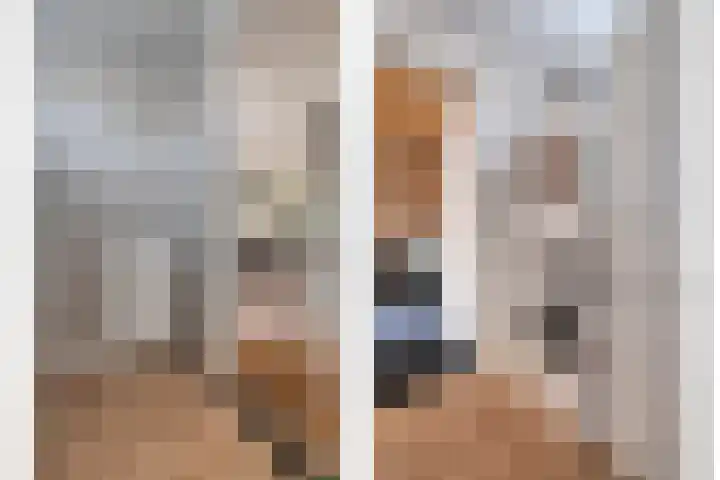 De Aalscholver 10 Dedemsvaart thumbnail 22