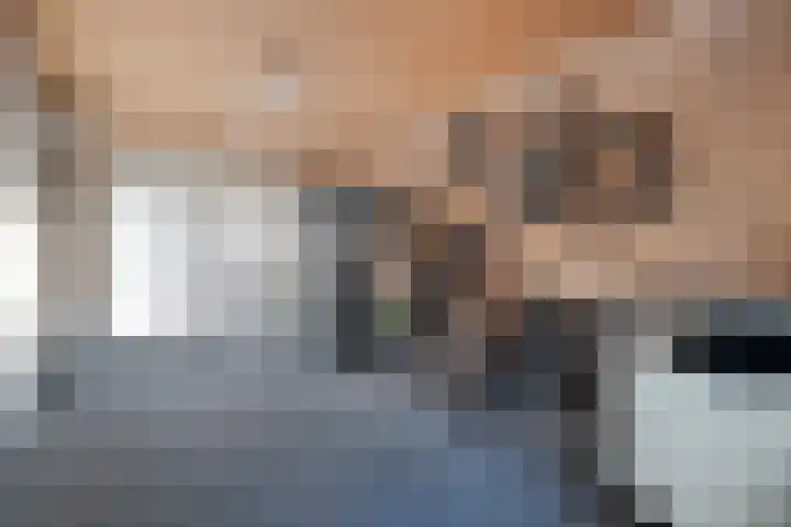 De Aalscholver 10 Dedemsvaart thumbnail 23
