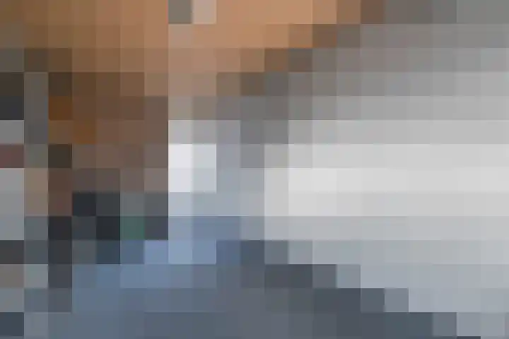 De Aalscholver 10 Dedemsvaart thumbnail 24
