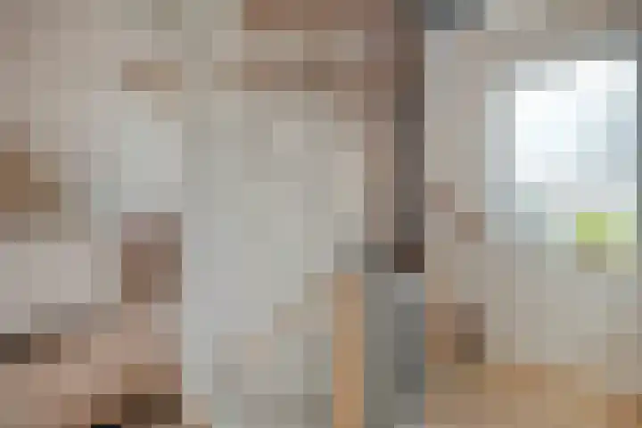 De Aalscholver 10 Dedemsvaart thumbnail 25