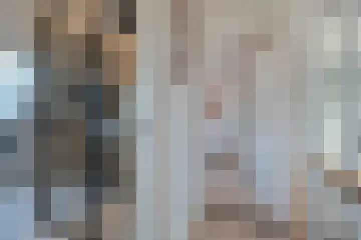 De Aalscholver 10 Dedemsvaart thumbnail 26