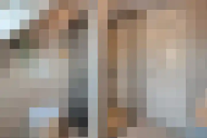 De Aalscholver 10 Dedemsvaart thumbnail 27