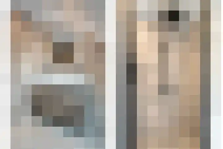 De Aalscholver 10 Dedemsvaart thumbnail 28