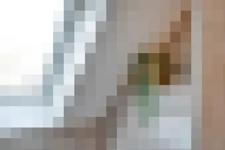 De Aalscholver 10 Dedemsvaart thumbnail 29