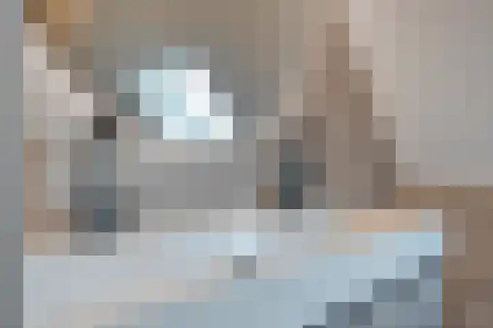 De Aalscholver 10 Dedemsvaart thumbnail 30