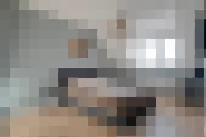 De Aalscholver 10 Dedemsvaart thumbnail 31
