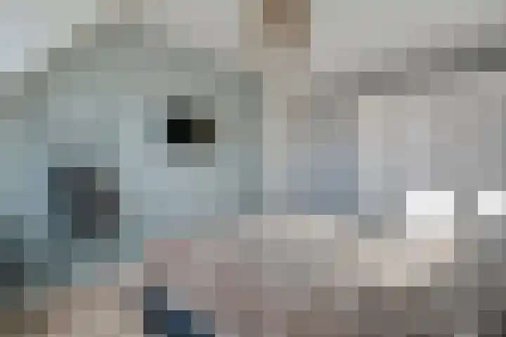 De Aalscholver 10 Dedemsvaart thumbnail 32
