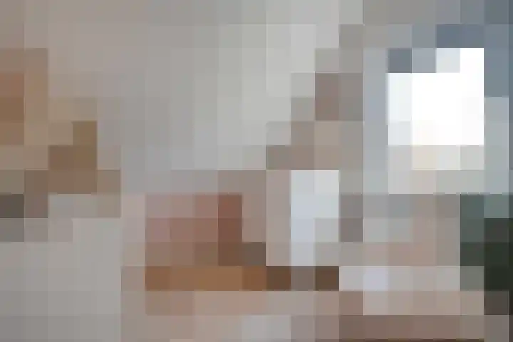 De Aalscholver 10 Dedemsvaart thumbnail 33