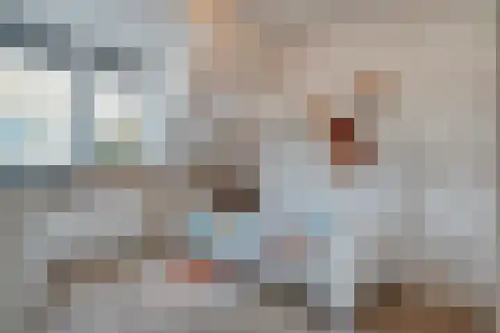 De Aalscholver 10 Dedemsvaart thumbnail 35