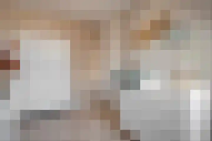 De Aalscholver 10 Dedemsvaart thumbnail 36