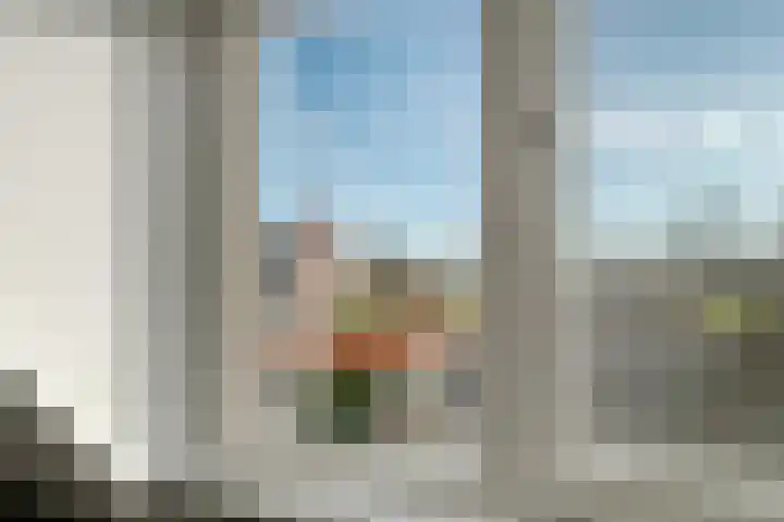 De Aalscholver 10 Dedemsvaart thumbnail 37