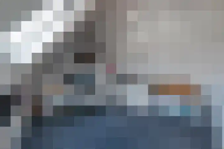 De Aalscholver 10 Dedemsvaart thumbnail 38