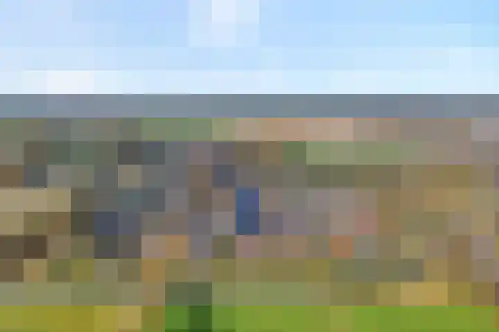 De Aalscholver 10 Dedemsvaart thumbnail 4